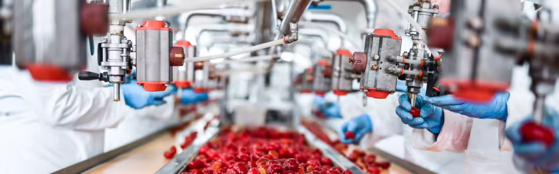 Linea di produzione agroalimentare con impianti inox, tubazioni e sistemi di processo in stabilimento industriale